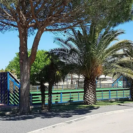 La Carabasse Kemp 4*